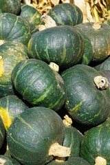 Green and orange kabocha pumpkin squash at a farmers market