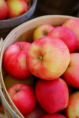 Baskets of fresh apples at a farmers market in the fall