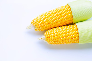 Corn on a white background.