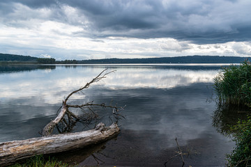 lago di Vico, Italia,Lazio