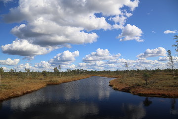 swamp autumn National Park Kemeri Latvia landscapes