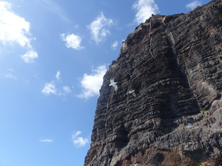 Acantilados de los Gigantes, landscape of Cliffs of the Giants, Tenerife island, Canary islands, Spain