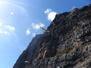 Naklejka premium Acantilados de los Gigantes, landscape of Cliffs of the Giants, Tenerife island, Canary islands, Spain