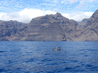 Acantilados de los Gigantes, landscape of Cliffs of the Giants, Tenerife island, Canary islands, Spain