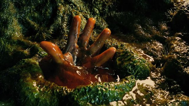Human Hand In Alien Pod - UFO Abduction