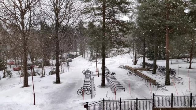 Dreamy snowfall in 4K video in university ground with branched trees around during the Winter