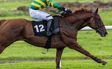 Close up side view of galloping race horse and jockey