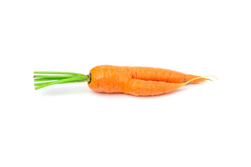 fresh ripe ugly carrot with cut top isolated on a white background