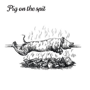 the pig is cooked on coals and rotates on a skewer. vector sketch on a white