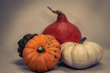 Colorful pumpkins in fall