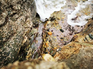 Rock and Sea in Cornwall