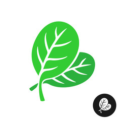 Spinach leaves illustration. Simple elegant style two green leaves of spinach vegetable salad.