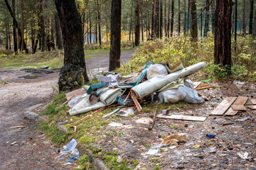 dump in spruce forest