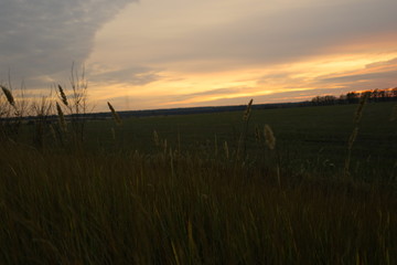 Obraz na płótnie Canvas sunset over wheat field