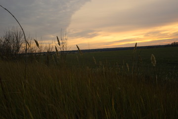 sunset over field