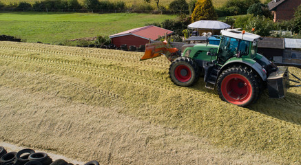 Maisernte, Landwirtschaftliche Tätigkeit zur Ernte Saison