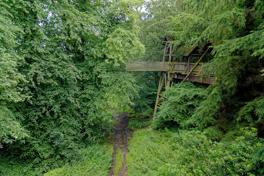 Rope bridge - Alnwick Gardens UK