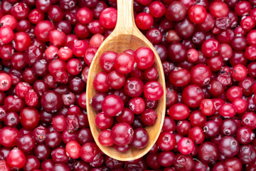raw cranberries in a spoon as background