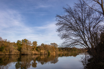 reflection of trees in water