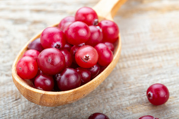 raw cranberries in a spoon