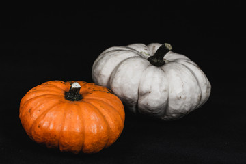 Colorful pumpkins in fall