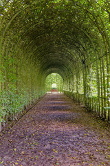 Fototapeta na wymiar Covered Walkway - Alnwick Gardens