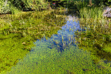 the village of Goudargues, in the south of France