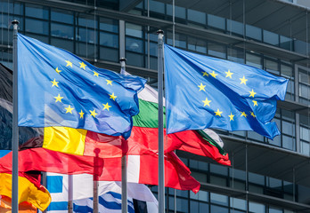European Union Flags - obrazy, fototapety, plakaty