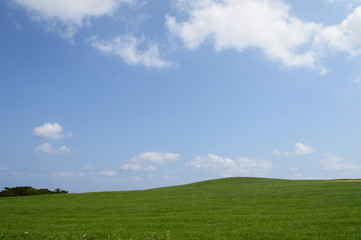 青い空と緑の草原