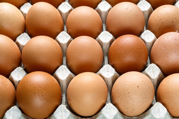 brown chicken eggs close up
