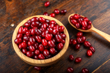 ripe dogwood on a wooden background
