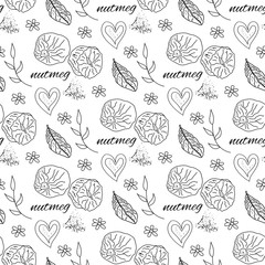 Fototapeta na wymiar Nutmeg spices outline seamless pattern on white background, vector