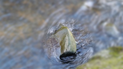 Cold to be a rock in a river