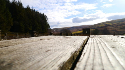 To the sky and the bench  