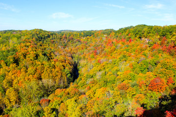 Niagara Escarpment