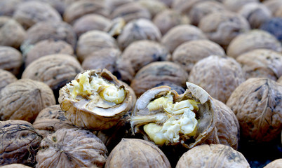 image of organic walnuts, autumn concept
