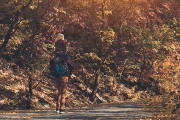 Father with son on his shoulders walking in the autumn park. Sunny day. Back view