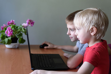 Two children use a laptop. Home schooling, leisure