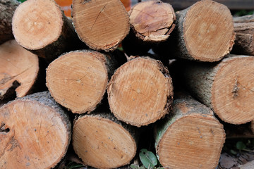 pile​ of​ wirewood.​ background​ stack of​ wood.​ fire​wood​ for​ cooking.