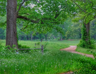 path through pasture lands with fence and flowers