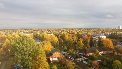 autumn in the park