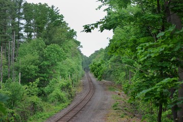 Fototapeta na wymiar old railroad tracks through a treelined corrridor
