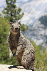 Yosemite-Nationalpark