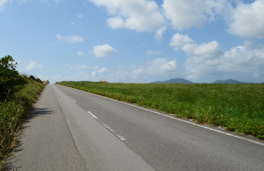 草原の横に伸びる直線の一本道
