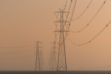 Electric line in the Po delta