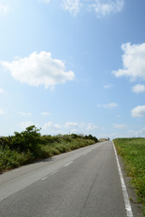Fototapeta na wymiar 草原の横に伸びる直線の一本道