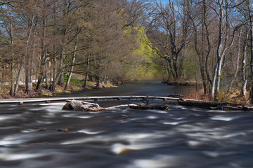 Still water in river of Mörrum