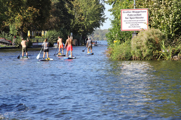 Standup Paddler auf der Müggelspree