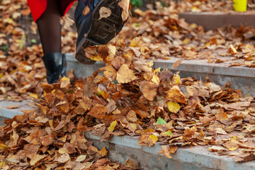 Obraz premium A girl in black boots and a red coat kicks yellow and red foliage strolling in the park alone on a clear autumn day during a fall. Freshness, nature and fun.