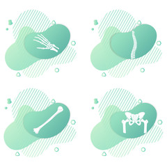 Orthopedic anatomy bone set icon. Abstract background with spine, pelvis, hand, humerus bones and joints. Orthopedics medical. Green and white. Vector illustration